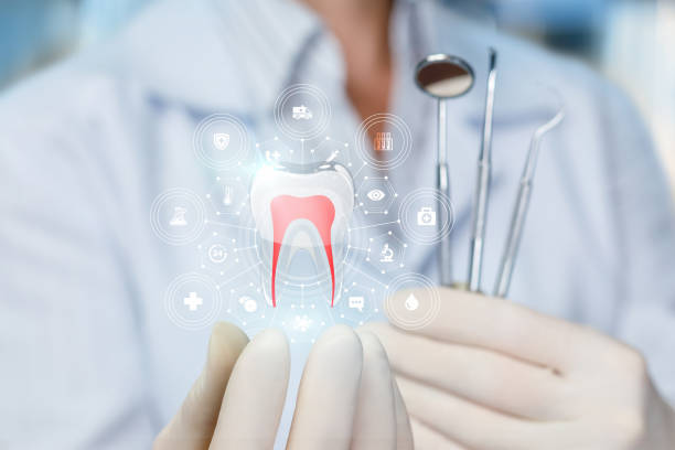  Moyie Springs, ID Holistic Dental Services Pros